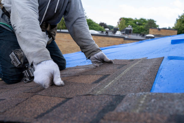 Best Roof Gutter Cleaning  in St Ansgar, IA